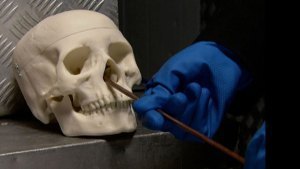 History_Mummies_No_Brainer_SF_still_624x352