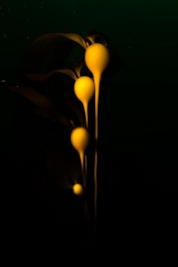 20150425-duChemin-Gods-Pocket-1187