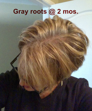 Gray roots @ 2 mos