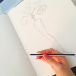 Cominciamo con la carota?