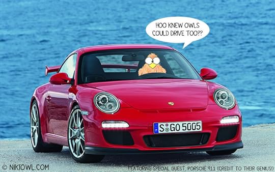 niki owl driving porsche 911