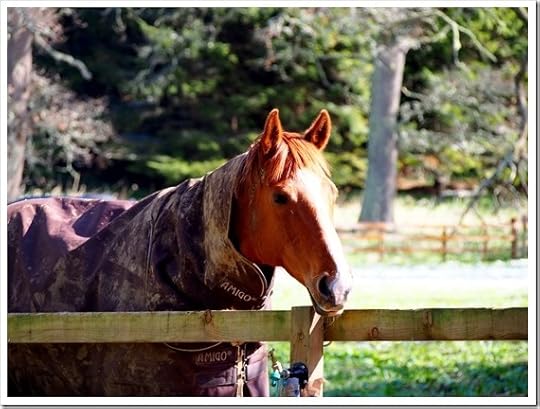 30 April 1 4608x3456