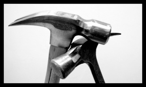 2930716970_644598079b