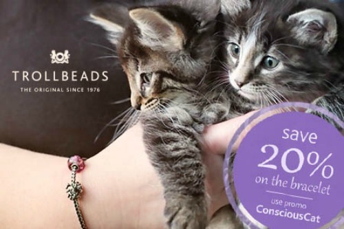 trollbeads-feline-spirit-bracelet