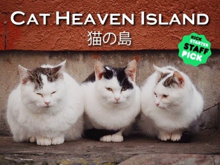 cat-island