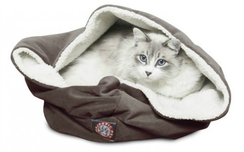 cat-bed