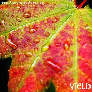 April 30 - Yield
