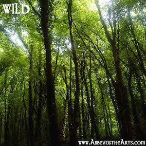 April 29 - Wild