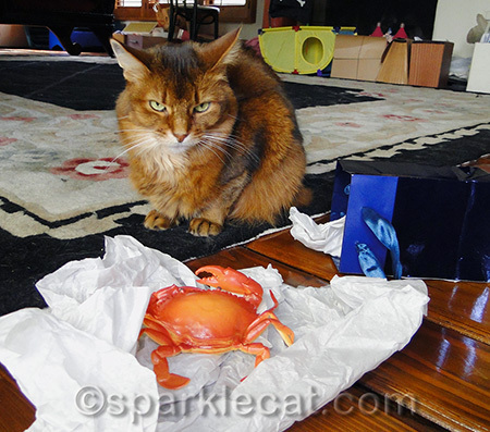 I think I would have made a face at that crab too