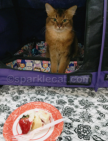 As you can see, I am not thrilled about posing with food and not getting to eat it
