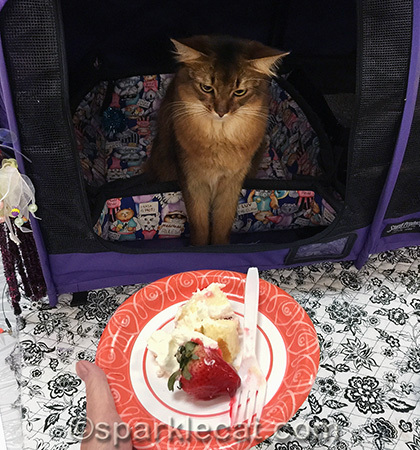 I'm gonna get that Supreme cake!