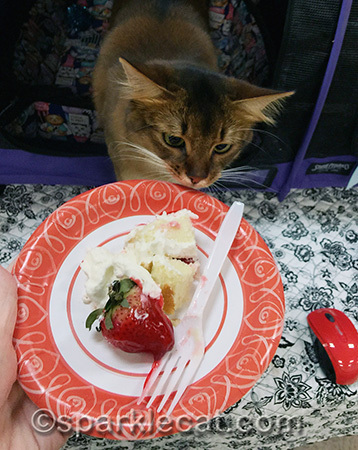 Just... a... touch... of... whipped... cream... please!