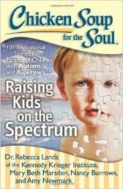chicken soup cover