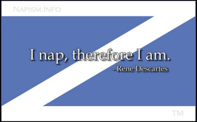 zzz nap in progress
