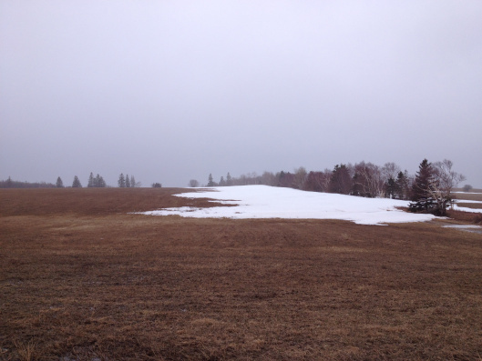 Along the Trans Canada Highway