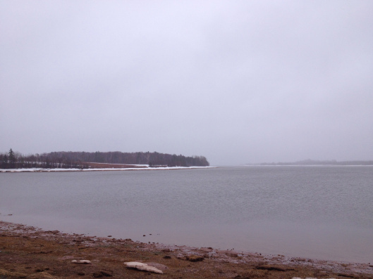 View from Poplar Island