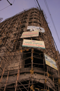 Eucalyptus scaffolding