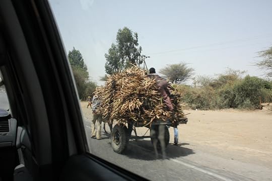 Horse drawn cart with kid and driver