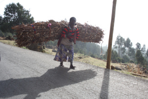 I believe she does this every day.