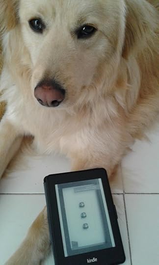 Collegamento permanente dell'immagine integrata