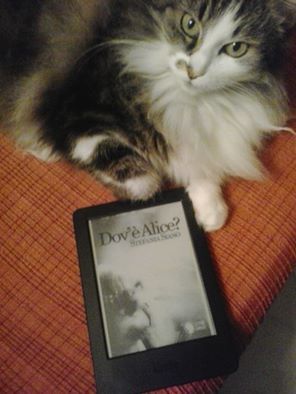 foto di Daniela Nardi.