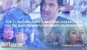 Greys powerful