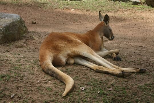 © Kate Mitchell | Dreamstime Stock Photos