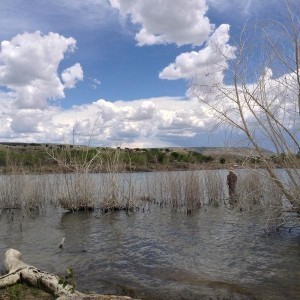 David fishing at Cochiti