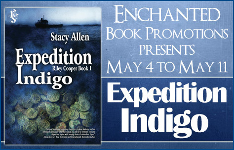 expeditionindigobanner