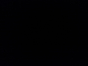 A majority of Kevin Eleven's social media sites have been covered with this black avi over the past few months signifying his hiatus.