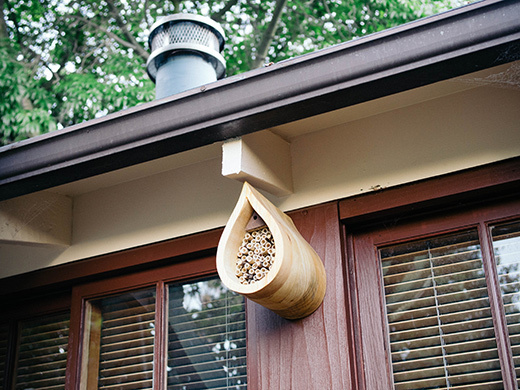 Win a native bee house kit courtesy of Crown Bees