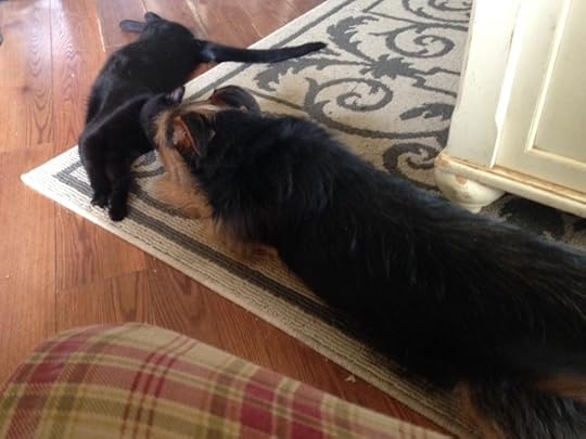 Houston commercial photography