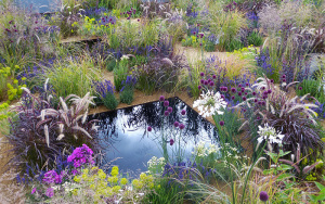 Fairy tale garden