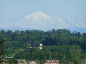 P1000500