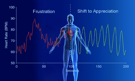 Emotions are reflected in heart rhythm patterns - Source: HeartMath Institute Real-time heart rate variability (heart-rhythm) pattern of an individual making an intentional shift from a self-induced state of frustration to a genuine feeling of of appreciation.