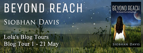 Beyond Reach banner