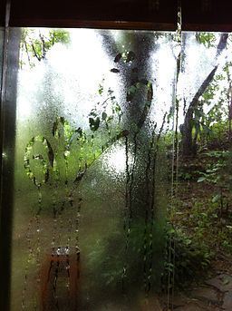 Window_peek_at_rainy_time,_wayanad