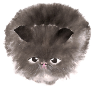 surlycat4