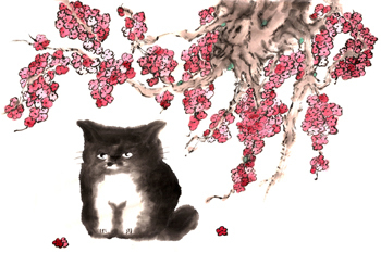catblossom3e