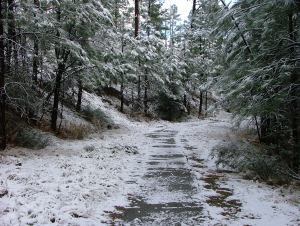 Prescott & Jerome - Fall 2011 003