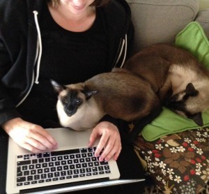 I soffan. Med två katter som försöker SAMMANSMÄLTA med mig.