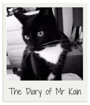 The Diary of Mr Kain