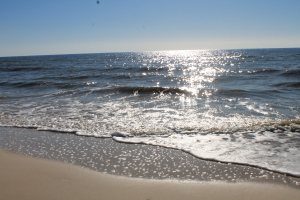 Beach at St George State Park