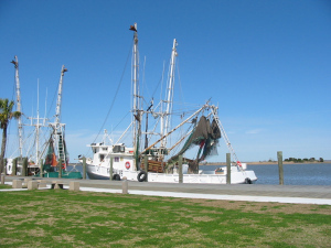 Shrimp boat