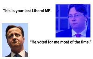 rogerson voting for dc