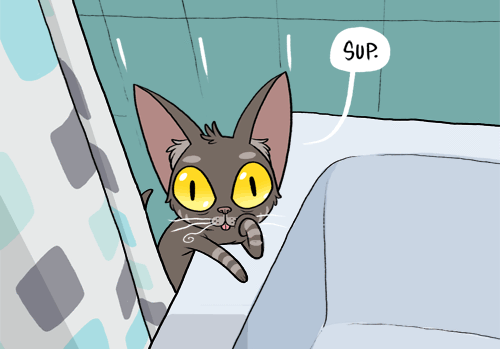kitten_shower2