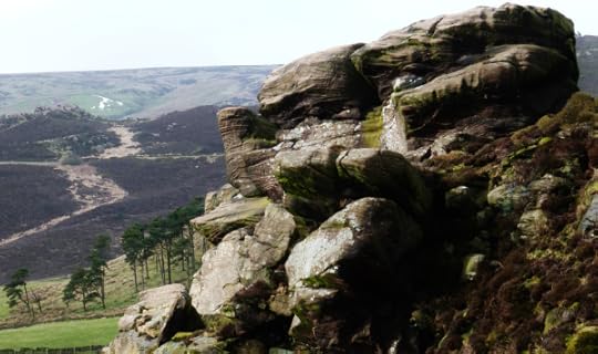 Bordering Moorland.Eleanor-Bennett.The-Roaches.england