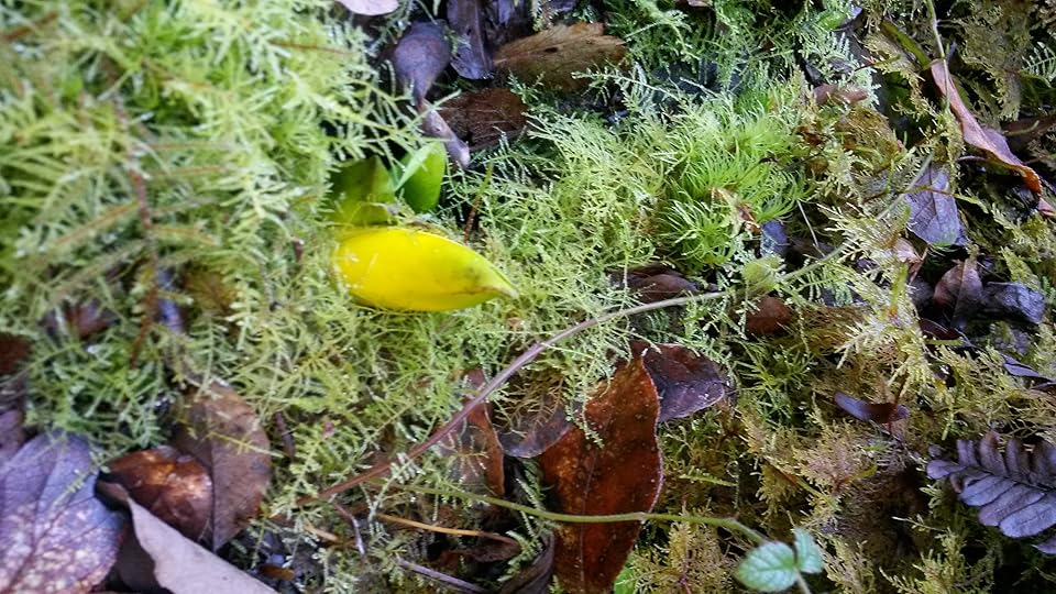 20150228_145241