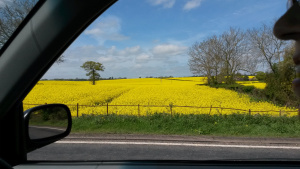 View of fields on the journey from Wariwck to Stratford upon Avon
