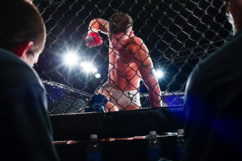 mma fighting cage - Google Search